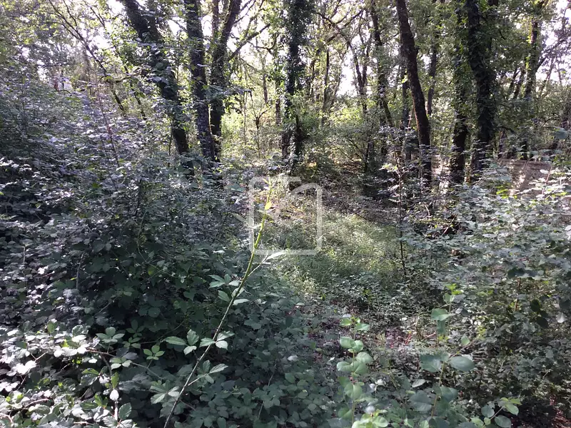 Terrain, 1 418 m²