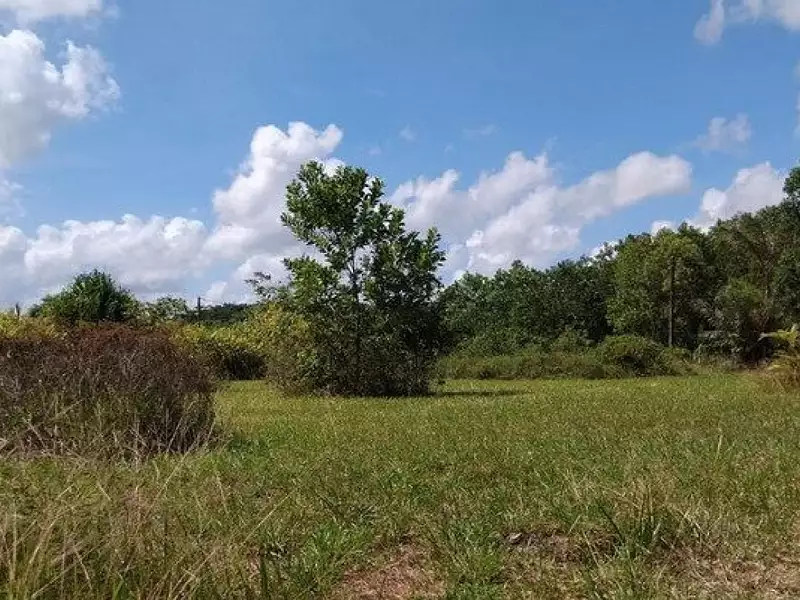 Terrain, 2 000 m²