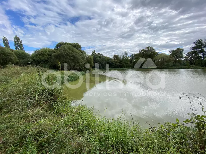 Terrain, 25 228 m²