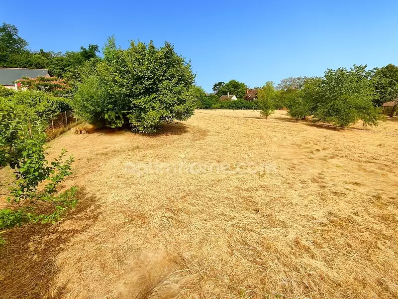 Terrain, 1 203 m²