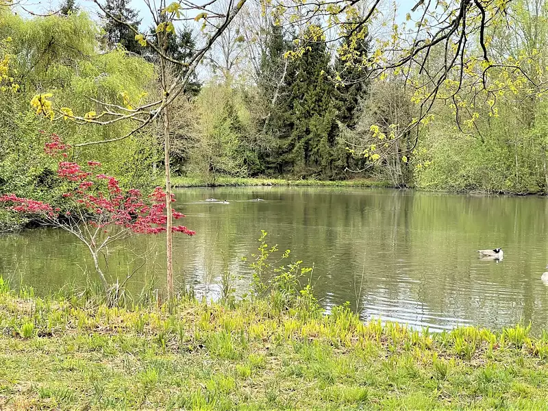 Maison, 44 000 m²