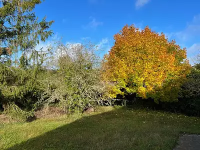 Terrain, 814 m²
