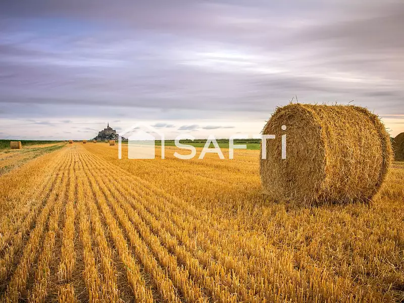 Terrain, 240 070 m²