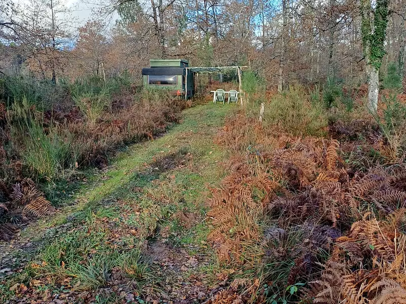 Terrain, 13 000 m²