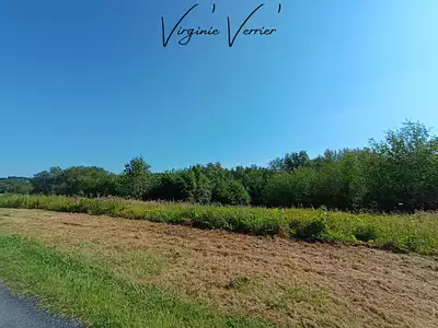 Terrain, 3 000 m²