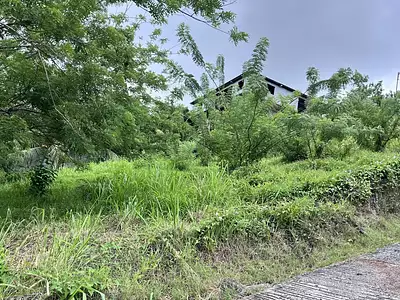 Terrain, 922 m²