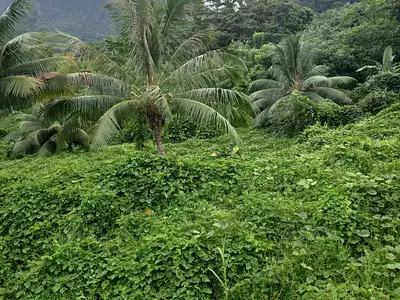 Terrain, 1 070 m²