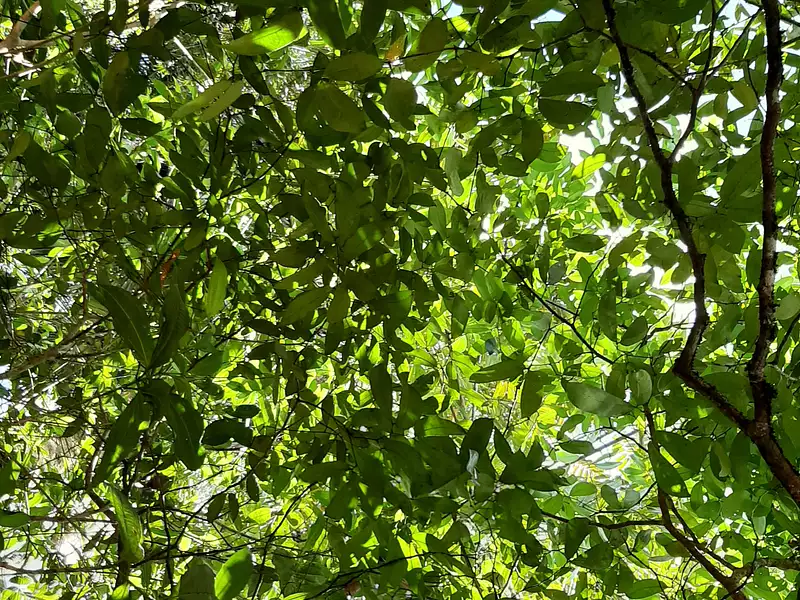 Terrain, 28 000 000 m²