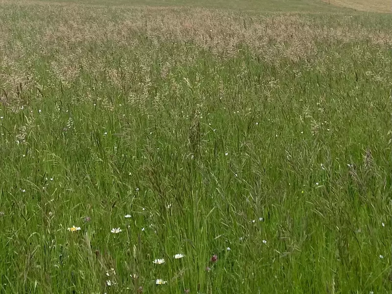 Terrain, 5 920 m²