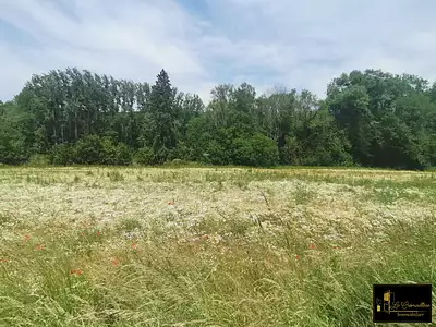 Terrain, 514 m²