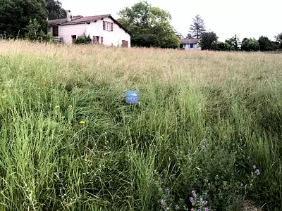 Terrain, 1 632 m²