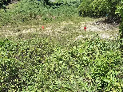 Terrain, 544 m²