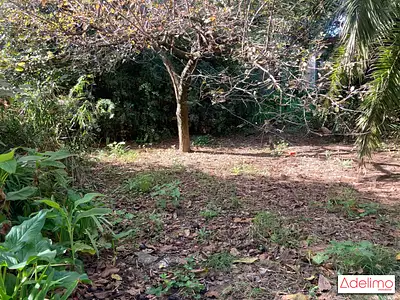 Terrain, 220 m²