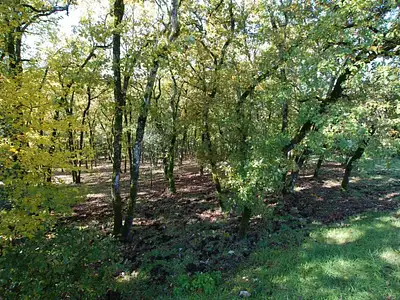 Terrain, 4 745 m²