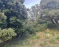 Terrain, 1 200 m²