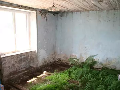 Maison, 239 m²