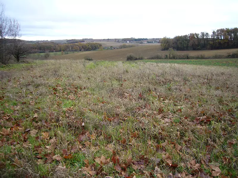 Terrain, 2 339 m²