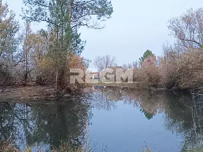 Terrain, 123 886 m²