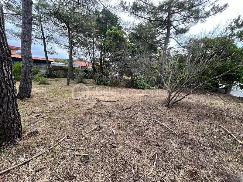 Terrain, 908 m²