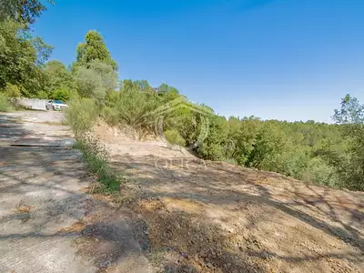 Terrain, 2 999 m²