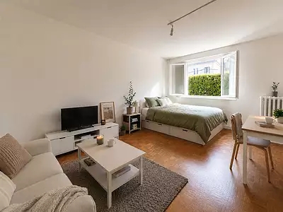 225 000 € 6 818 €/m² Appartement • 33 m² • 1 pièce • 1 chambre Fontenay-sous-Bois (94120)