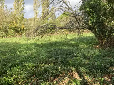 Terrain, 1 250 m²