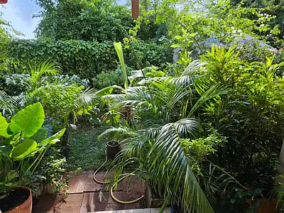 Appartement, 75,5 m²