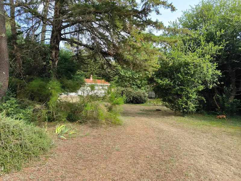Maison, 66 m²