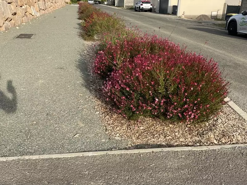 Terrain, 740 m²