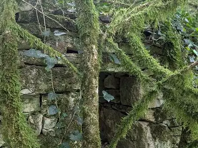 Terrain, 10 000 m²