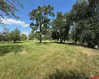 Terrain