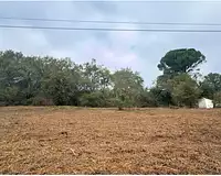 Terrain, 2 601 m²