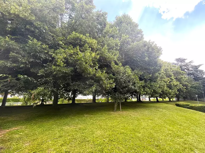 Appartement, 83,84 m²