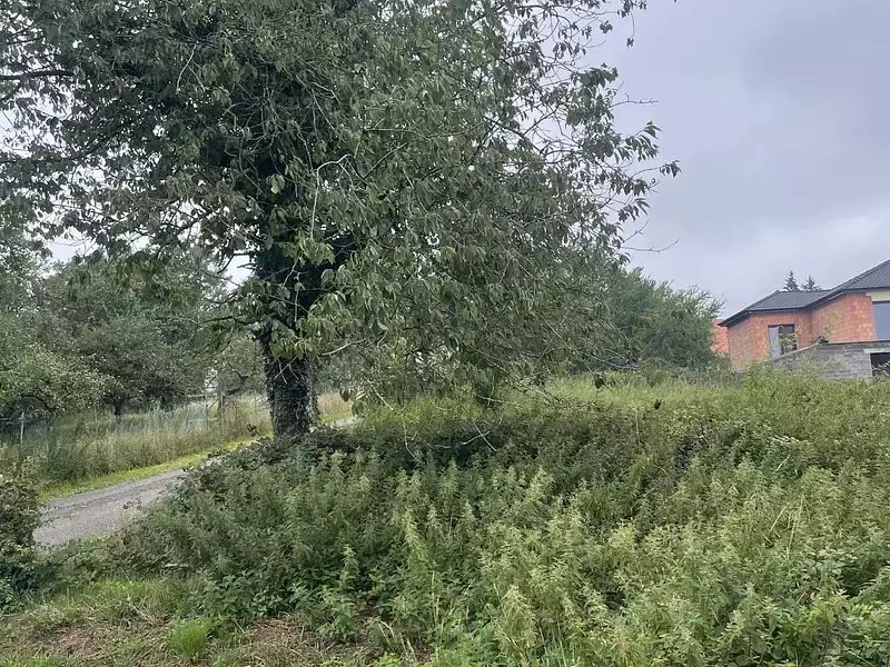 Terrain, 1 105 m²