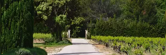 Catherine La Bruyère Immobilier