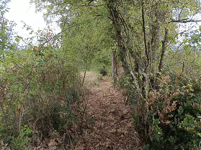 Terrain, 33 821 m²