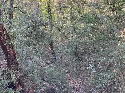 Terrain, 25 775 m²