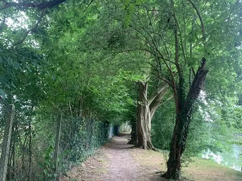 Terrain