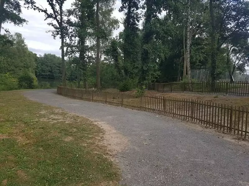 Terrain