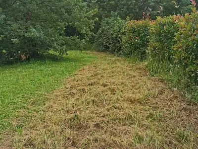Terrain, 2 388 m²