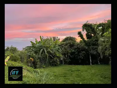 Appartement, 84,1 m²