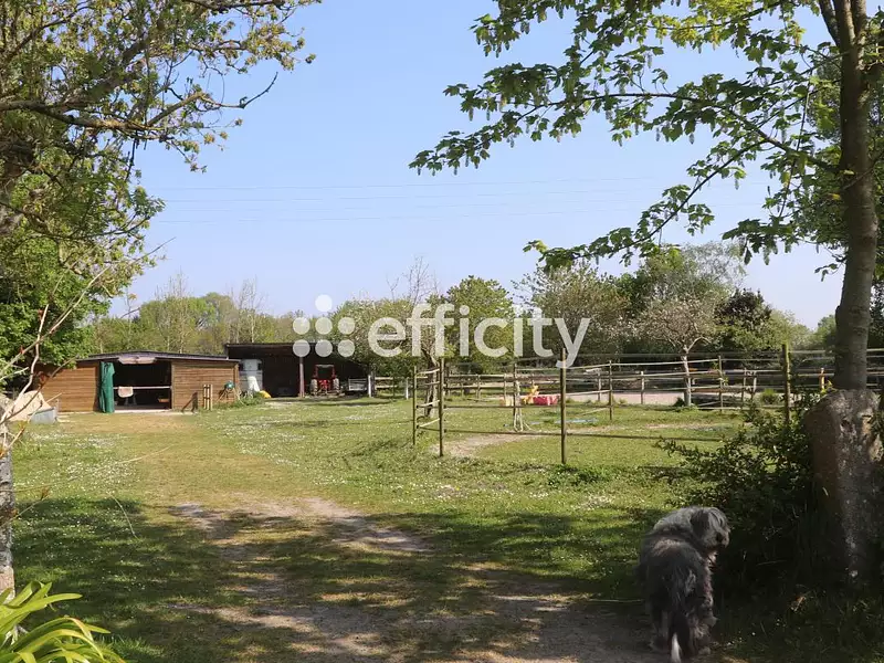 Maison, 450 m²