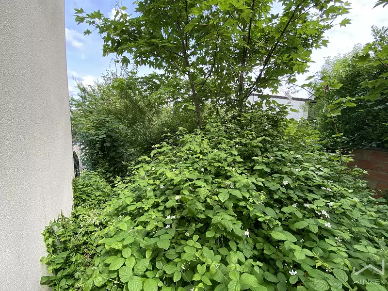 Terrain, 606 m²