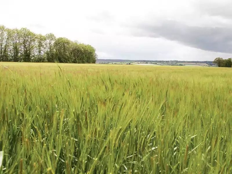 Terrain, 640 000 m²