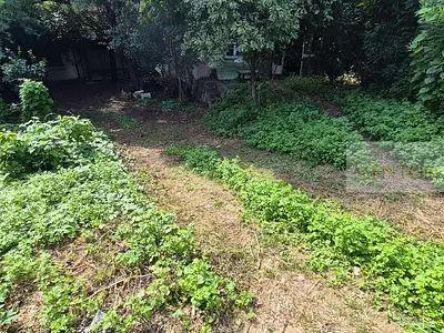 Maison, 68 m²