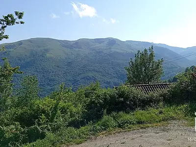 Maison, 290 m²