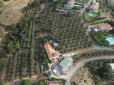 Terrain, 16 000 m²