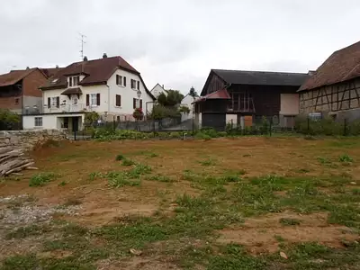 Terrain
