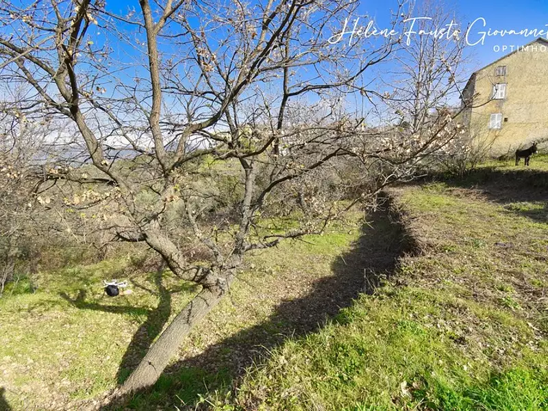Terrain, 1 984 m²