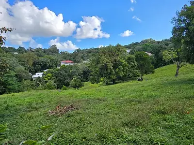 Terrain, 1 333 m²